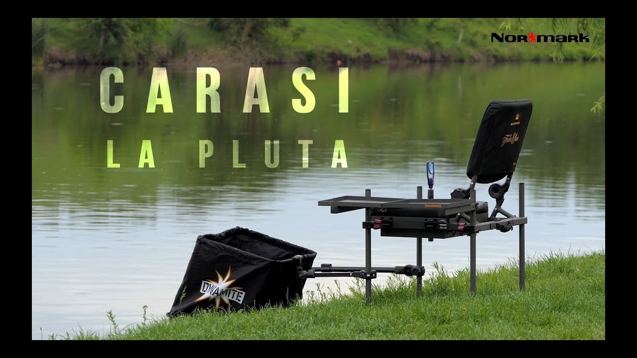 Carasi la pluta