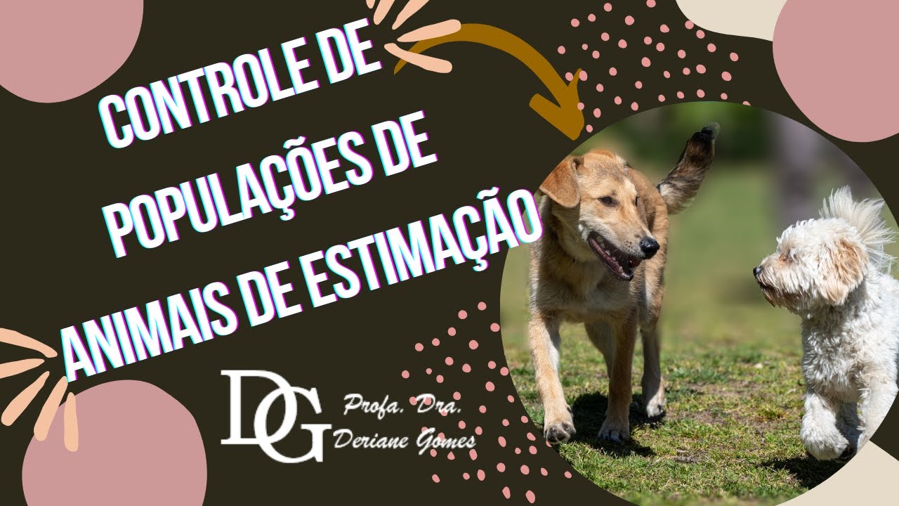 108. Controle de Animais  -  Parte 1: Educação para a promoção da saúde