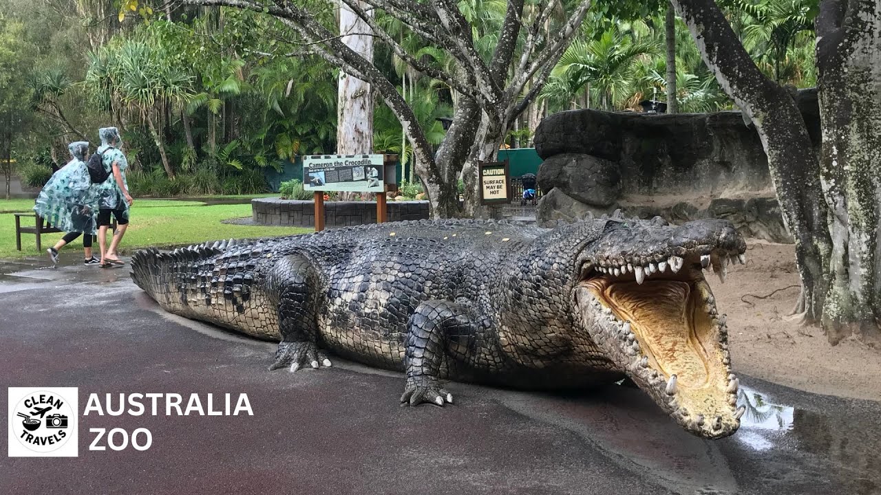 AUSTRALIA ZOO EXPERIENCE 🇦🇺 | Meet the Crocs Steve Irwin's Legacy Lives On | Clean Travels