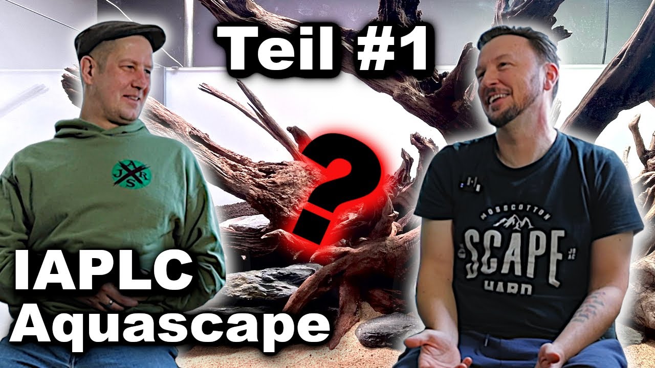 WETTKAMPF AQUARIUM für den IAPLC | Teil 01 Das HARDSCAPE | JR Aquascaping