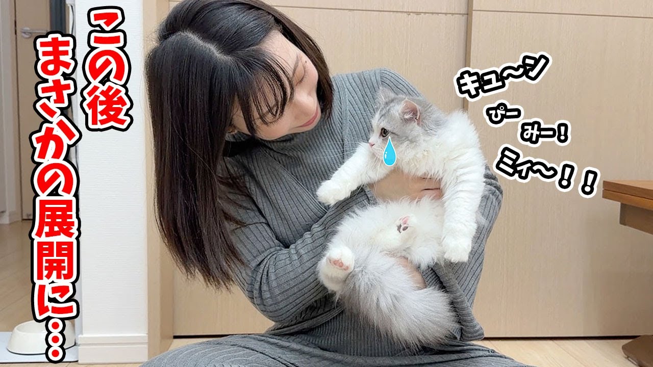 つらすぎて初めて泣いちゃった子猫がまさかのこうなった…！