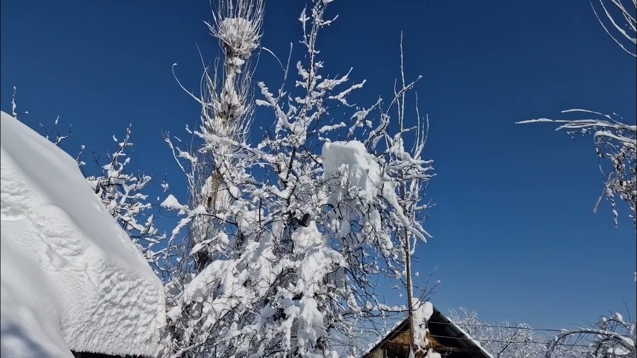 Fresh light snowfall has begun in the upper reaches of Kulgam district 