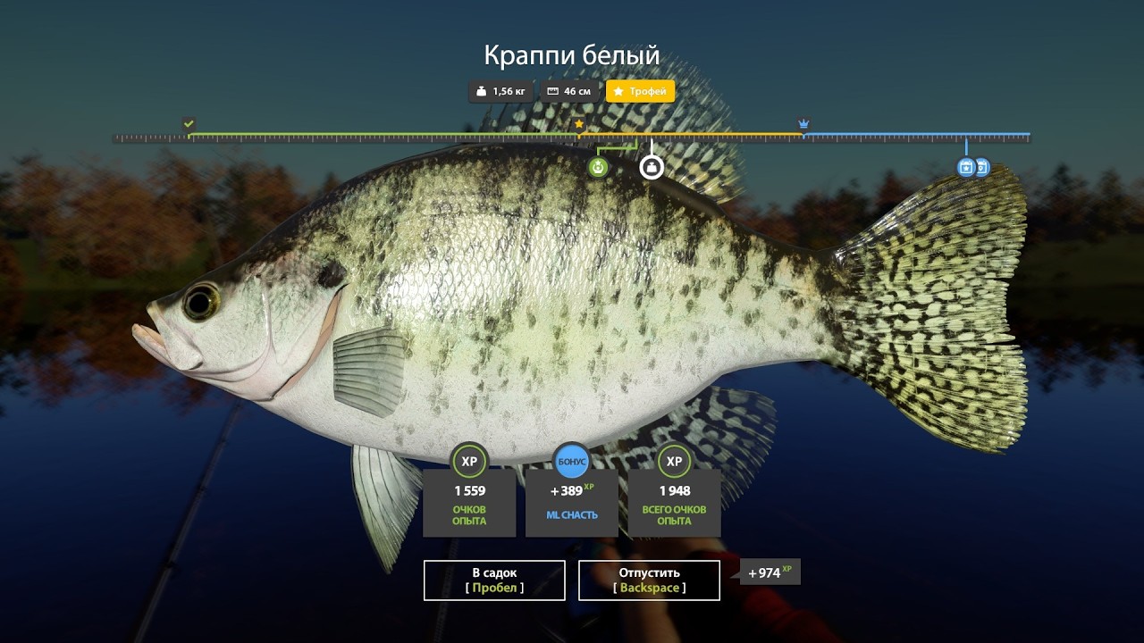 Russian Fishing 4 Клёвые места. Трофейный Краппи белый оз. Лосиное.