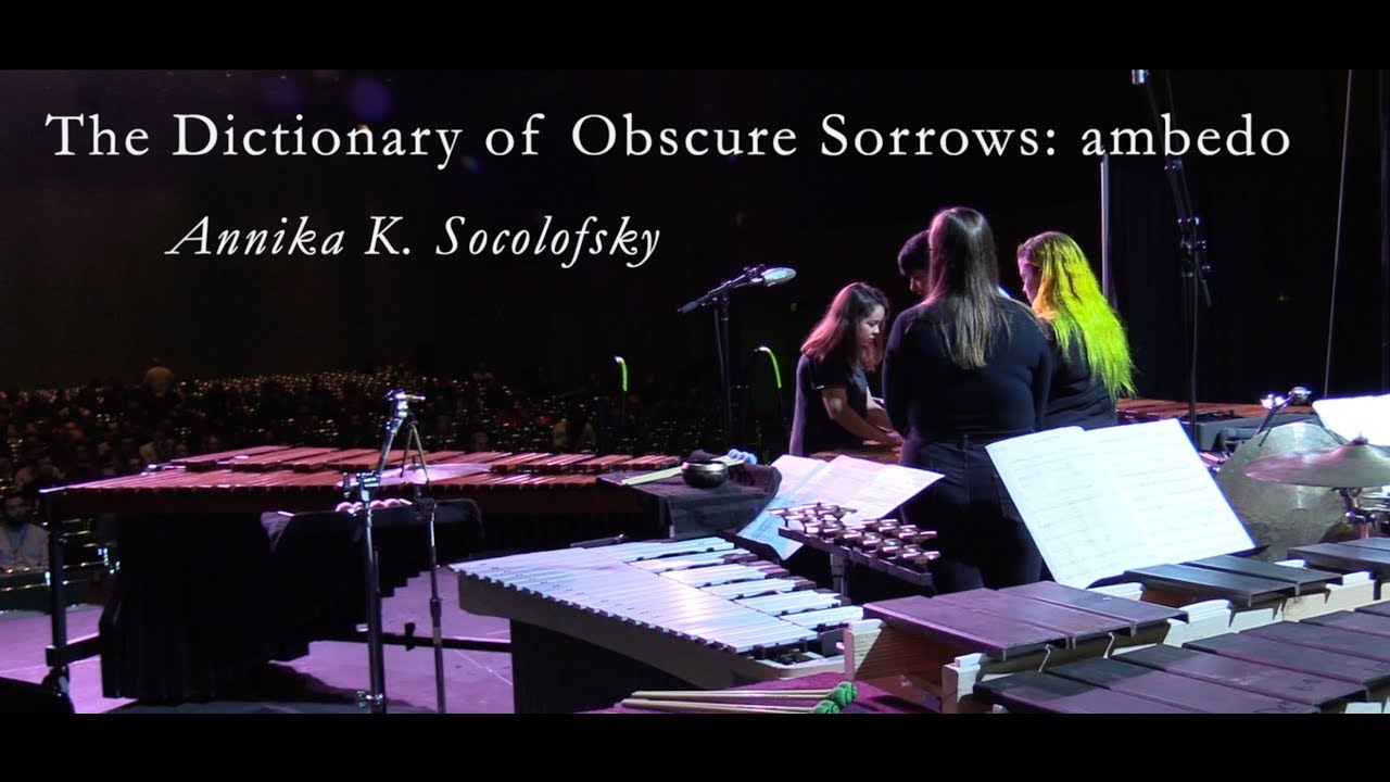 The Dictionary of Obscure Sorrows: ambedo by Annika K. Socolofsky