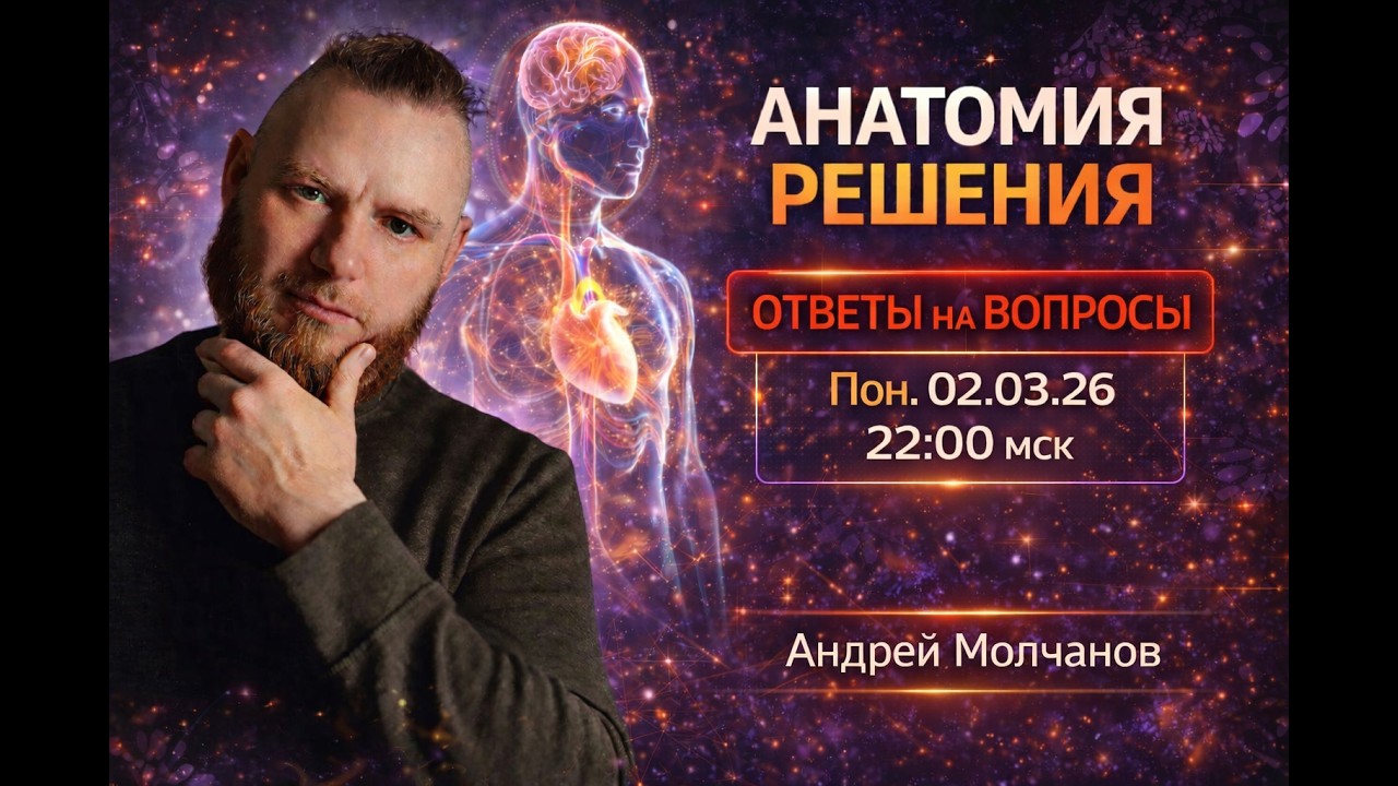 Анатомия решения  - Ответы на вопросы.  Андрей Молчанов 🔹Project Bravo🔹