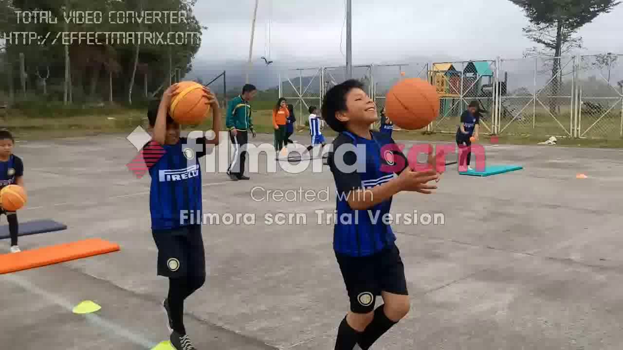 coordinación visomanual