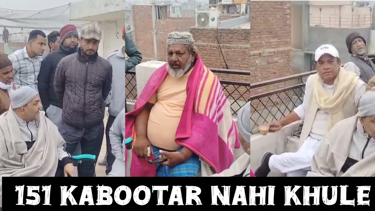 151 kabootar nahi Kahule aaj public chato par aa gai 