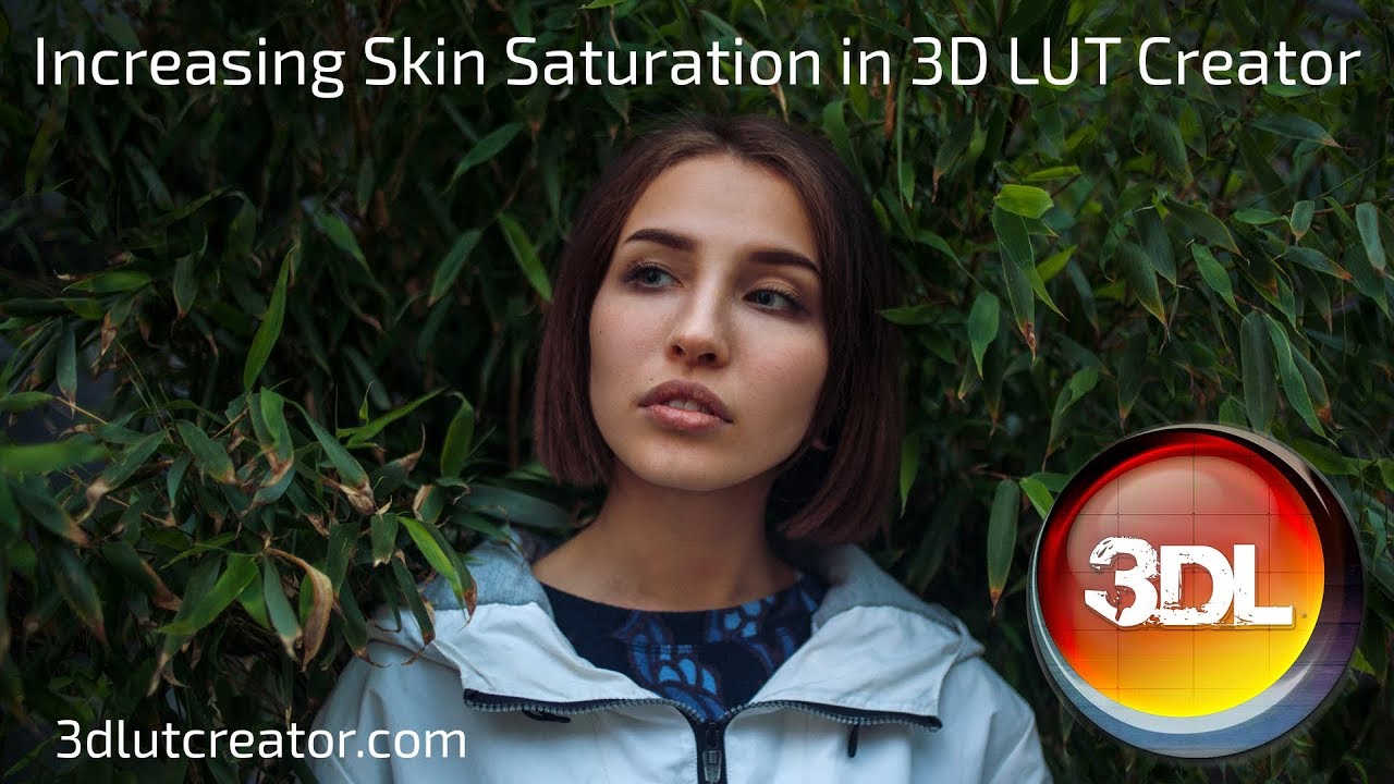Increasing Skin Saturation in 3D LUT Creator