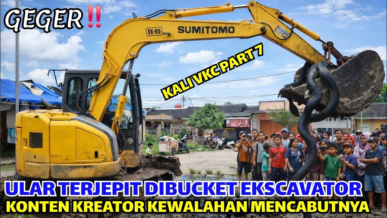 GEGER❗️WARGA HEBOH MELIHAT ULAR TERJEPIT DI BUCKET EKSCAVATOR❗️