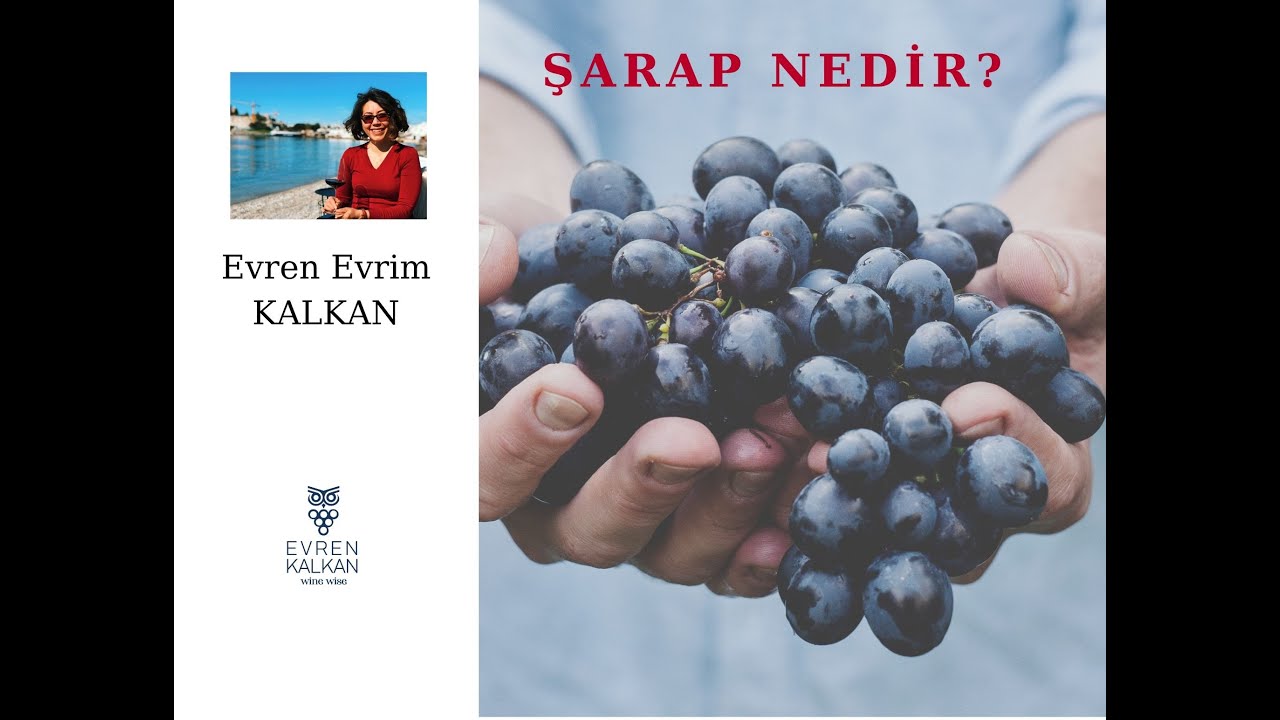 #1 🍇ŞARAP NEDİR? 🍷 Şarap Uzmanı Evren Evrim Kalkan a&ccedil;ıklıyor...
