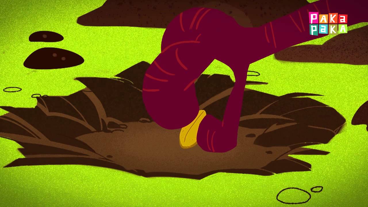 Cuentos de había una vez - La gallinita colorada  -  Canal Pakapaka