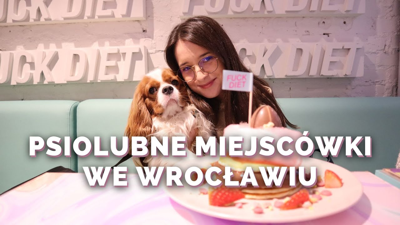 GDZIE Z PSEM? PRZEGLĄD PSIOLUBNYCH RESTAURACJI - WROCŁAW #1 | KAPI THE CAVALIER