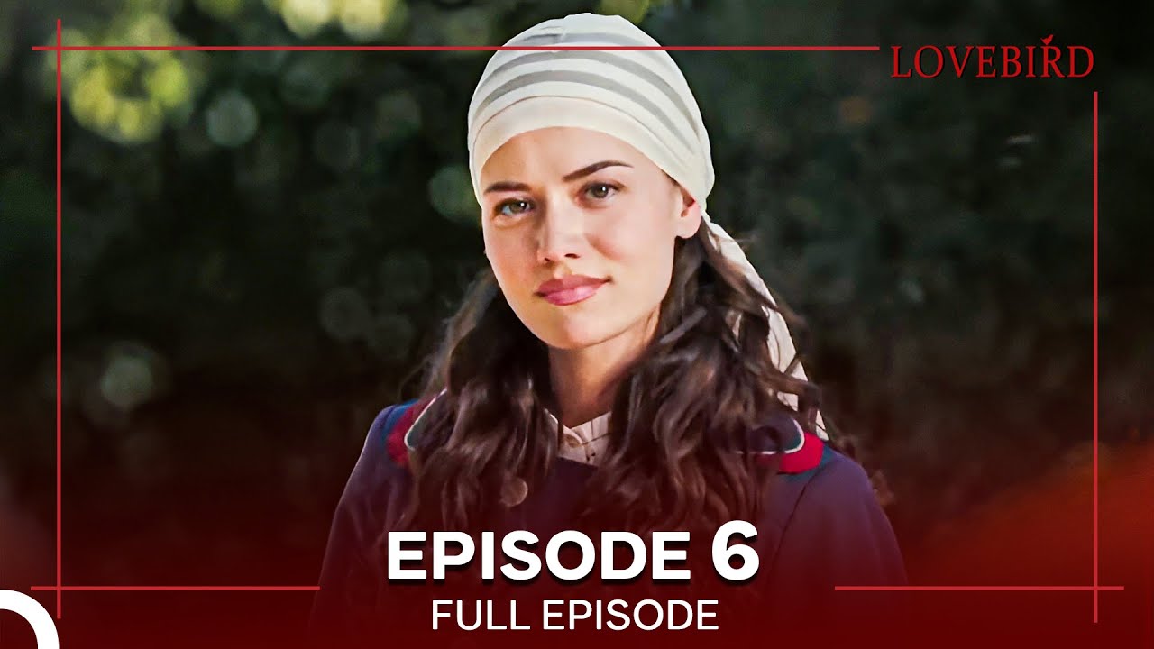 Lovebird Episode 6