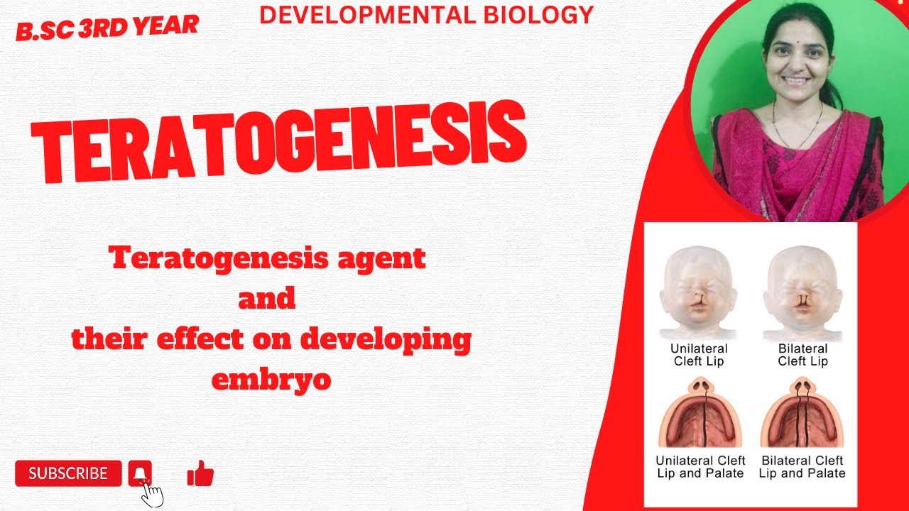 Teratogenesis||Teratogenic Agent And their Effects on embryonic development#developmentalbiology