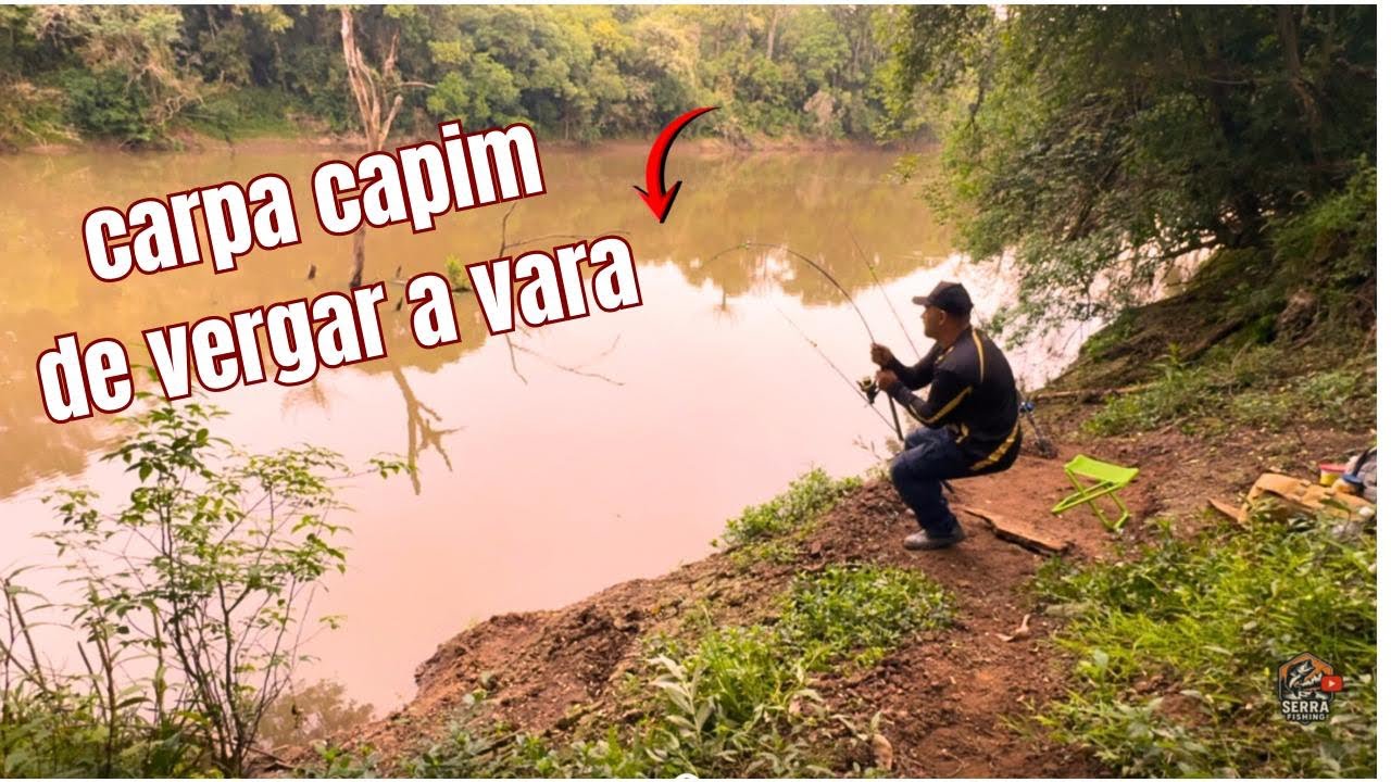 CARPA CAPIM DE 8KG NA MADRUGADA! 😱 Linha Arrebenta no Rio Canoas! Pescaria...