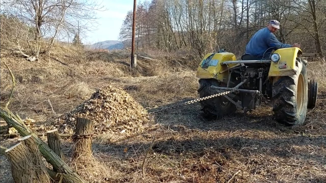 Čupamo panjeve u bašti
