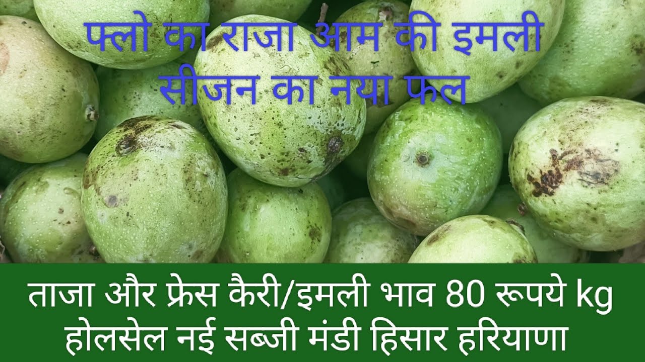 Live  224 नई सब्जी मंडी हिसार से सब्जी और फ्रूट के भाव.  दुकान न 224 के  थोक में विक्रेता#bjp_haryan