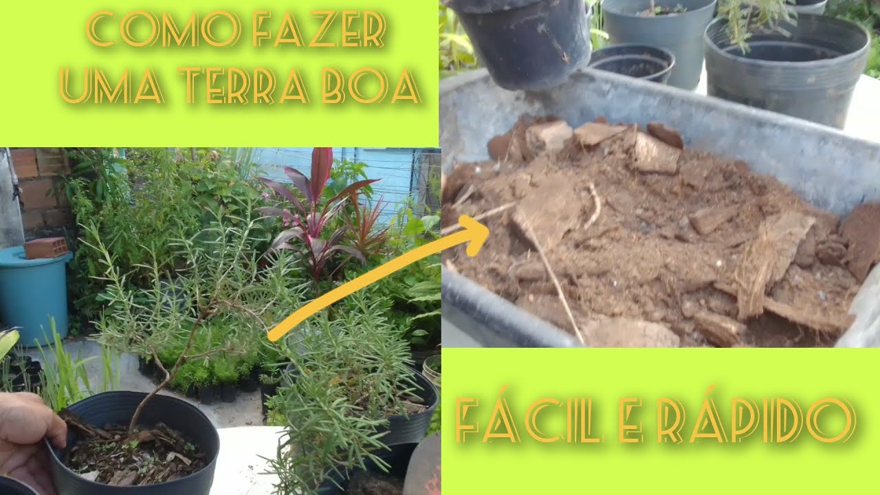 COMO FAZER A MELHOR TERRA PARA ALECRIM FÁCIL E RÁPIDO