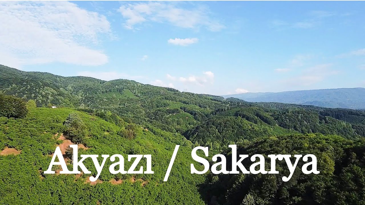 Akyazı / Sakarya DJI Mavic Mini
