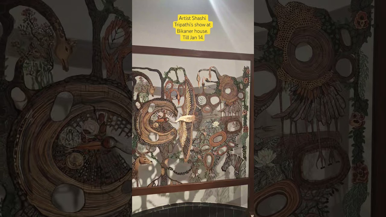 new art show at Bikaner house 