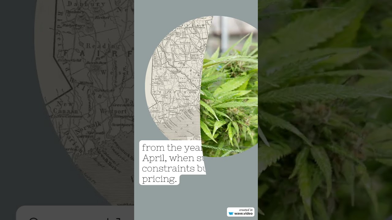 Cannabis Benchmarks US Spot Index Report - Oct 11, 2024 #marijuananews #cannabisdaily #investing