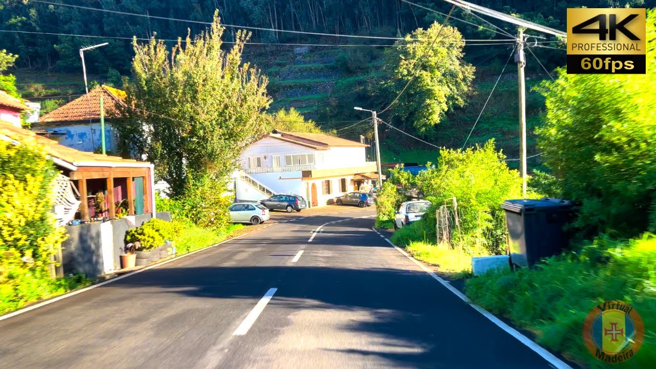 MADEIRA 🚗 Camacha ⇢ Santo da Serra 💢4K 60fps 🌈HDR 🎧Live Sounds #virtualmadeira