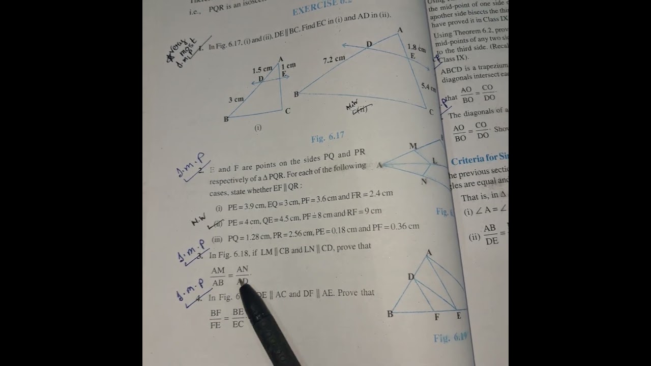 class 10th maths chapter 6 triangle 🔺️ 👏. most important questions 
