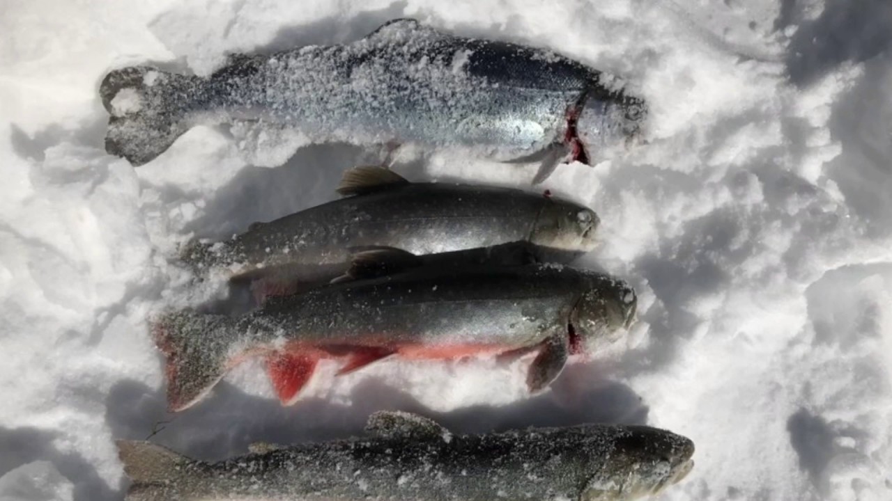 Eisfischen Eisee (Brienzer Rothorn)