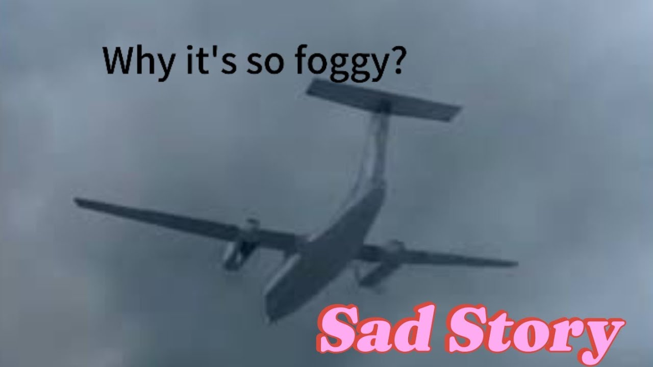 If Planes Could Talk... Sad Story of Ansett New Zealand Flight 703 l Season 3 pt.5