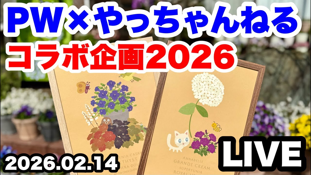 ■PW×やっちゃんねる【コラボ企画2026.春夏コレクション】
