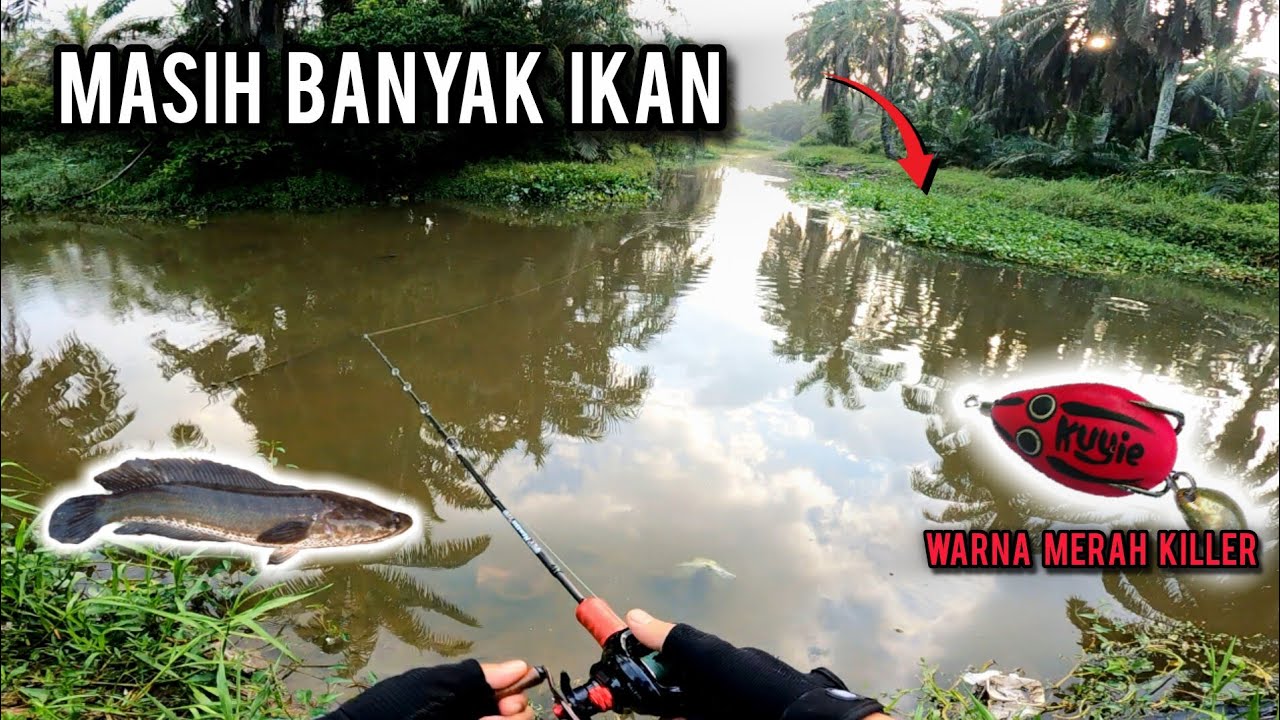 CASTING HARUAN | LUBUK SIMPANG TIGA MASIH BANYAK PENGHUNI | BULLZEN TOMAHAWK | VLOG716