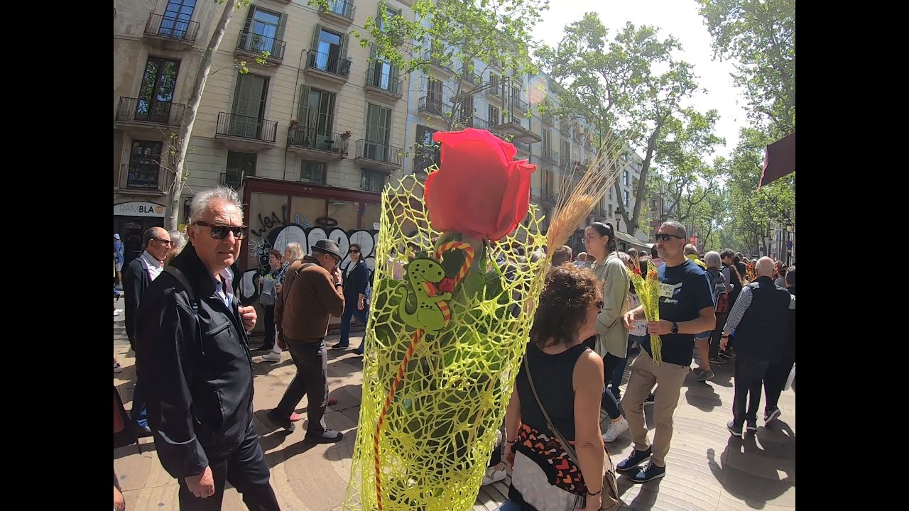 Sant Jordi  Barcelona