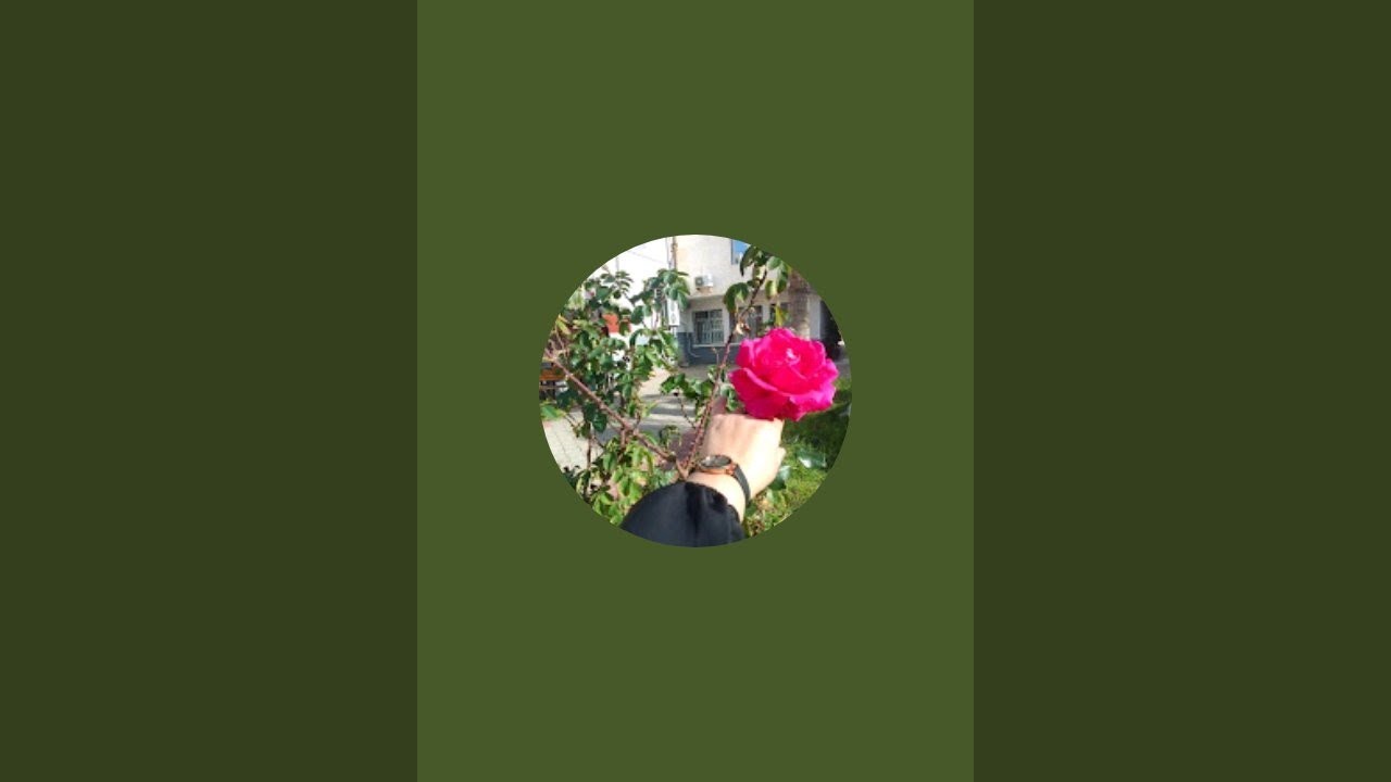 بدأت قناة 