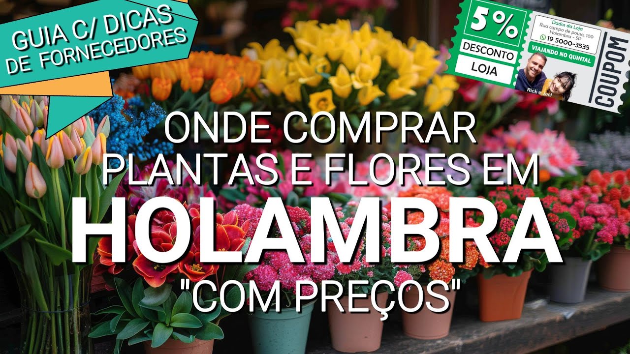 🌸 ONDE COMPRAR FLORES E PLANTAS EM HOLAMBRA COM PREÇO