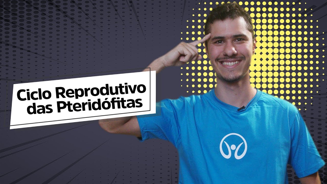 Ciclo Reprodutivo das Pterid&oacute;fitas - Brasil Escola