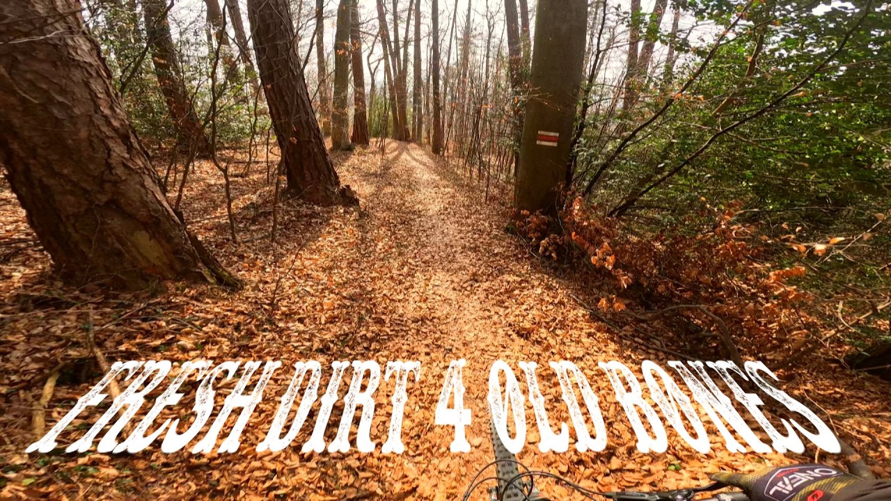 Fresh dirt 4 old Bones 🐦‍🔥