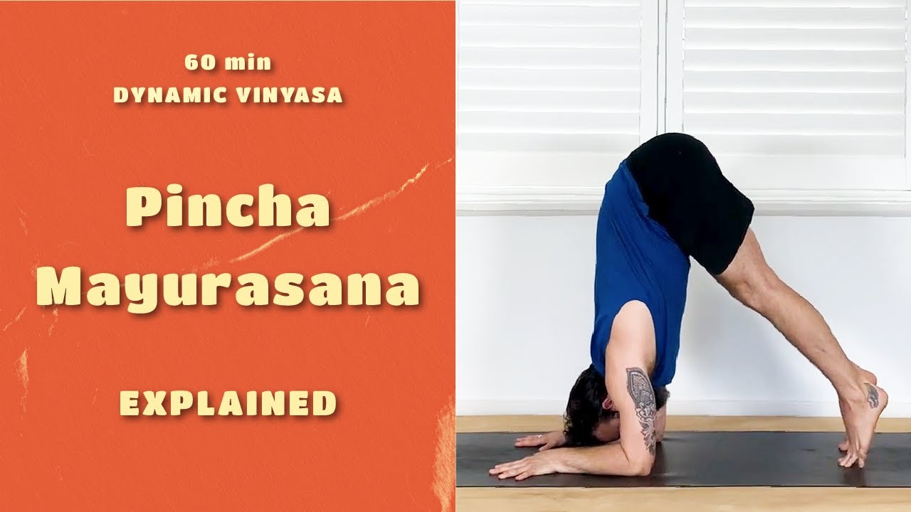 DYNAMIC VINYASA YOGA 60 min - Pincha Mayurasana - Strengthen the Shoulders - Nicky G Yoga