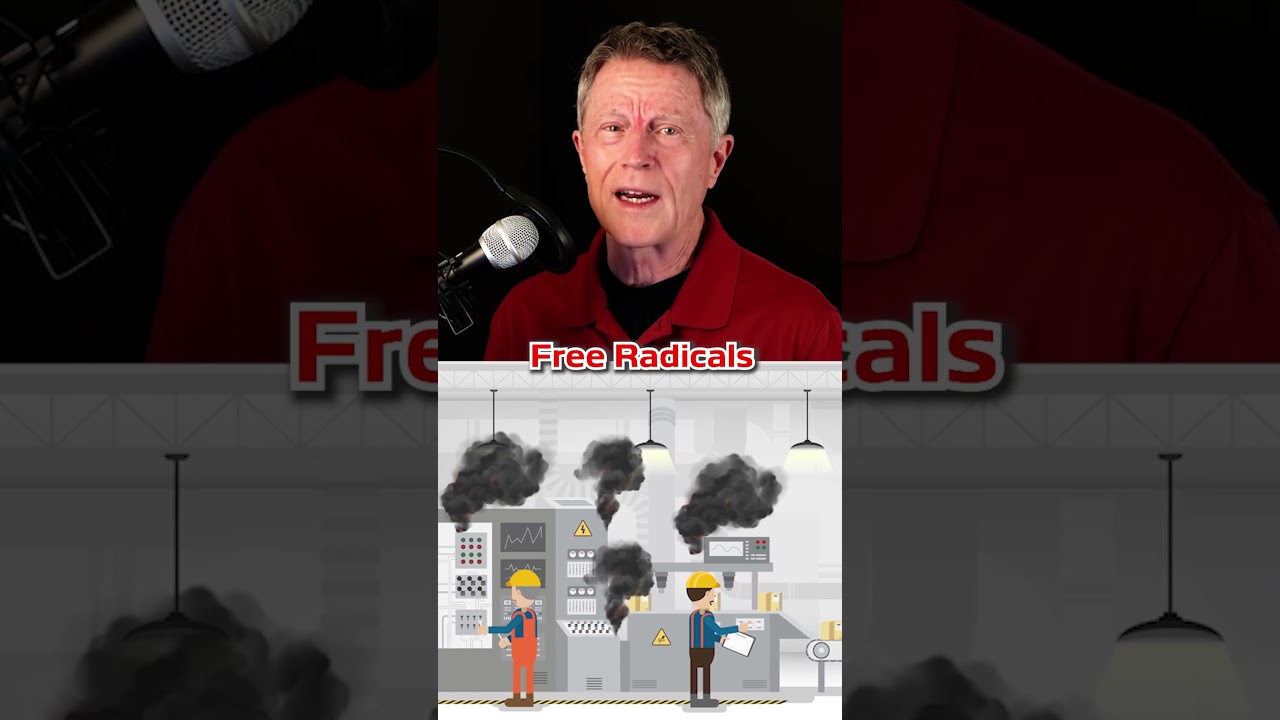 What Is Oxidative Stress?