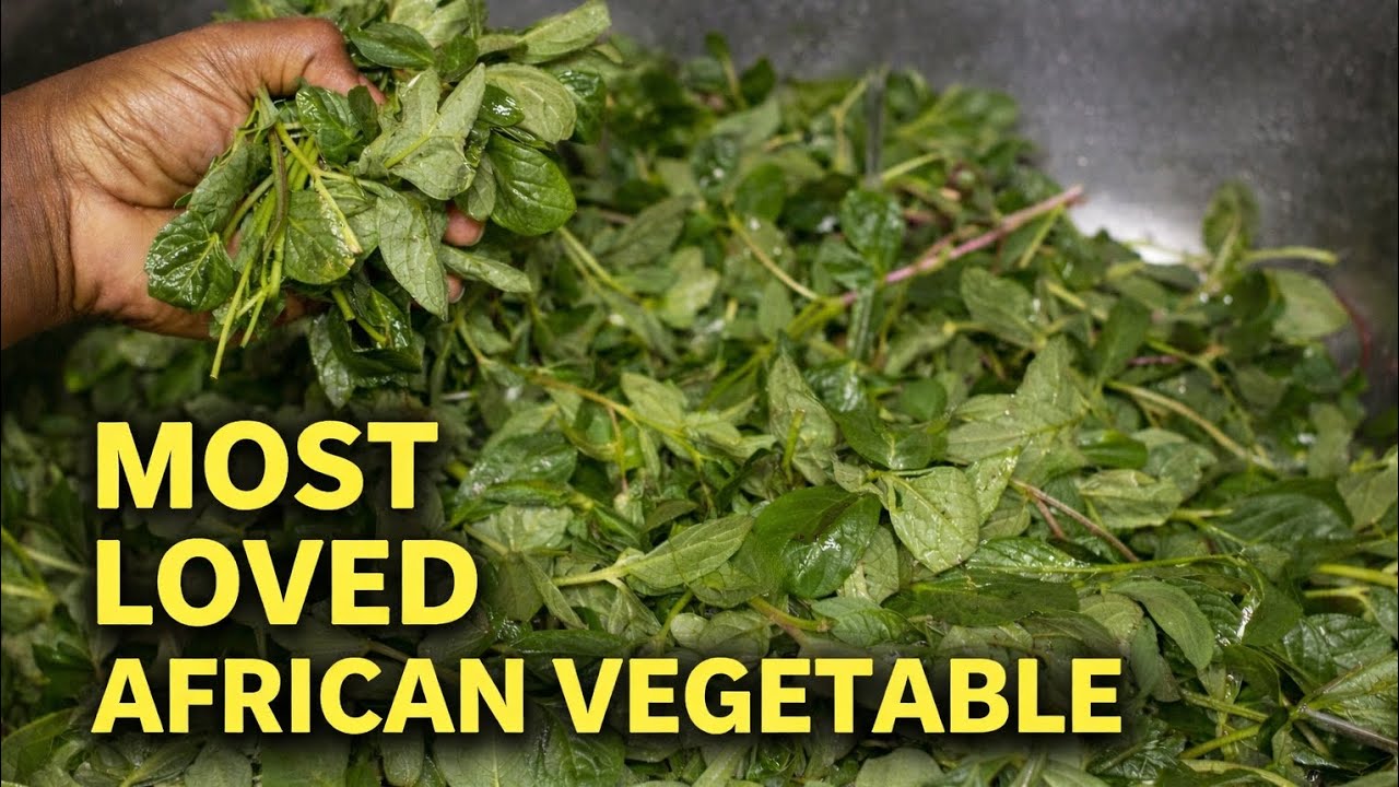 🇰🇪 Cooking the MOST Loved African Traditional Vegetable | Saga Like You’ve Never Seen Before