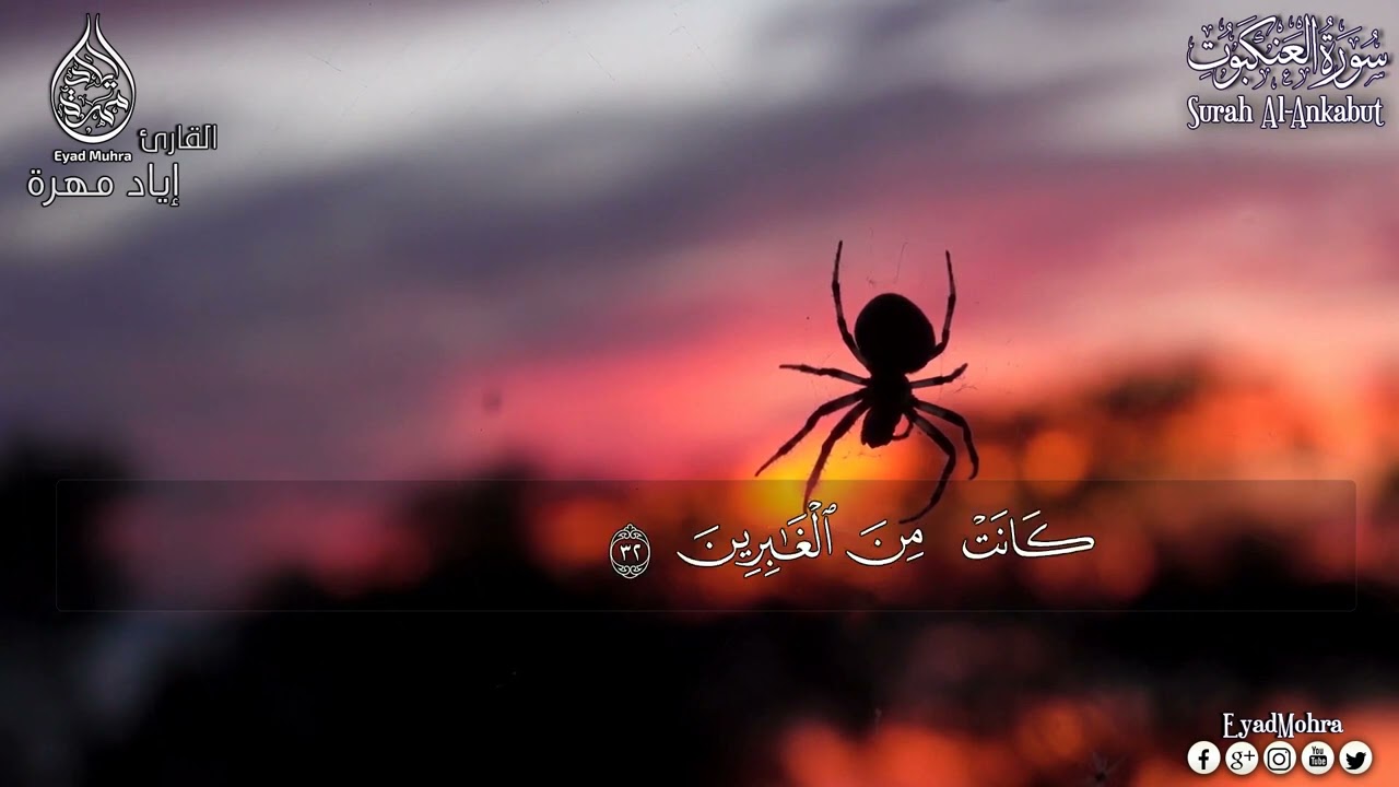 سورة العنكبوت (كاملة) _ القارئ  إياد مهرة (تلاوة هادئة)