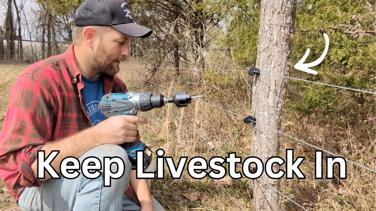 How to put up a High-Tensile Wire Fence like a farmer