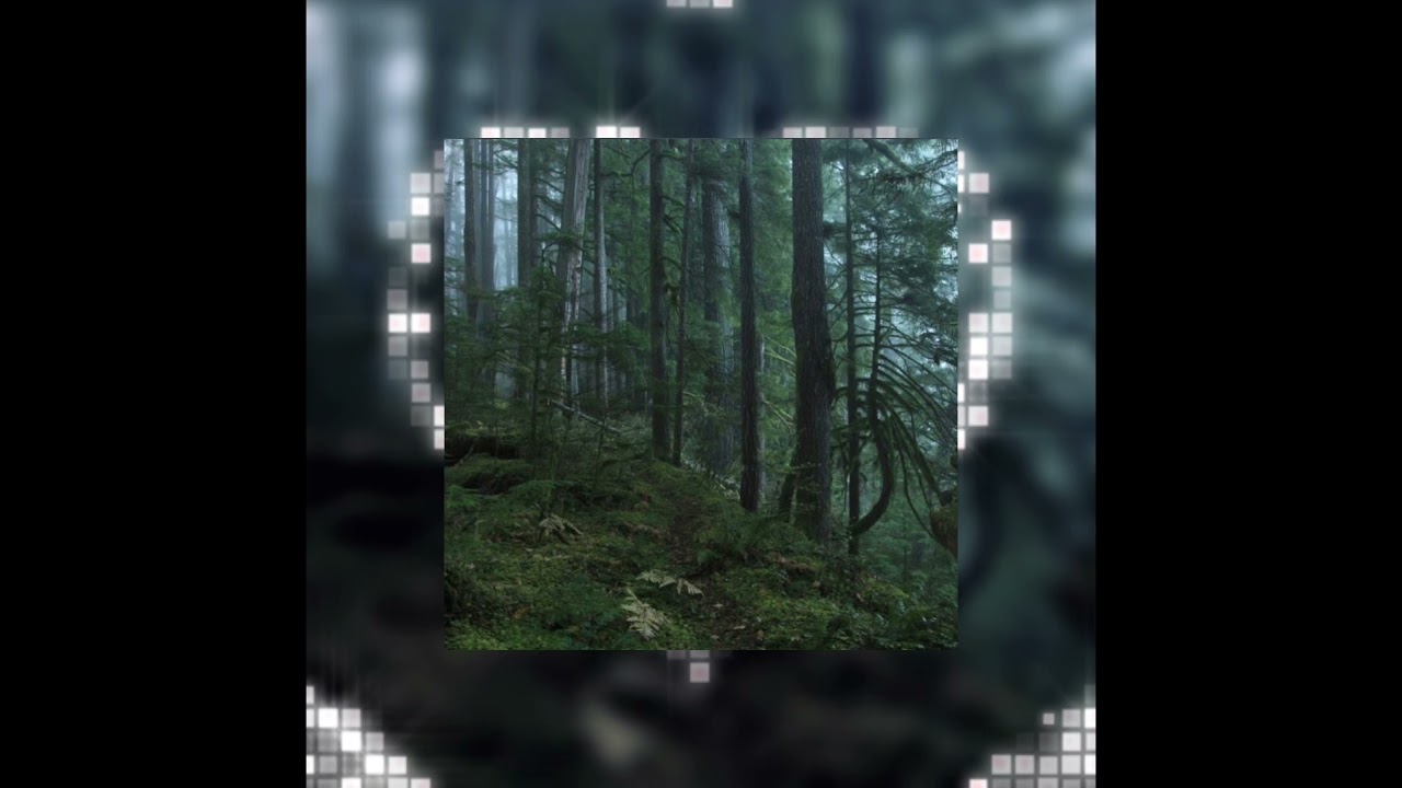 from eden - hozier (sped up)