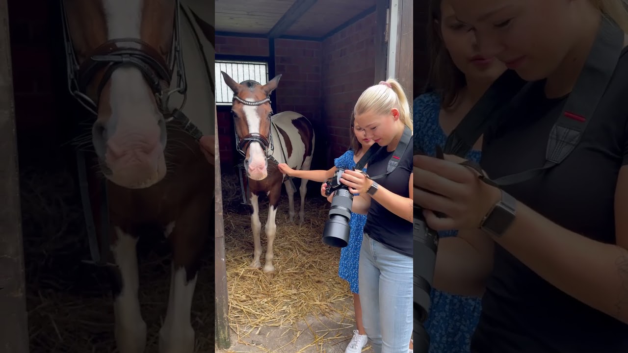 Vlog: Fotoshooting Teil 1📷🐴 #pferdem&auml;dchen #horse #reiten #reiter #fyp#pony