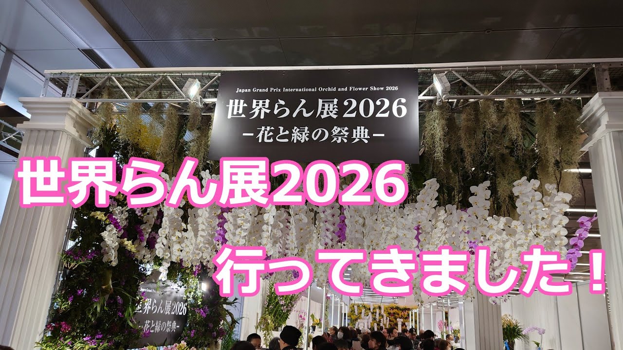 お花好き必見！ 世界らん展2026行ってきました。