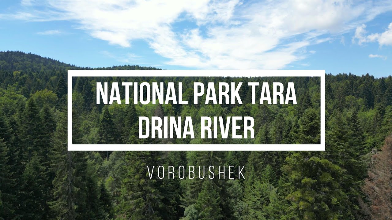 DJI Mini 3 PRO. 4K video. National park Tara, Drina river, Serbia.