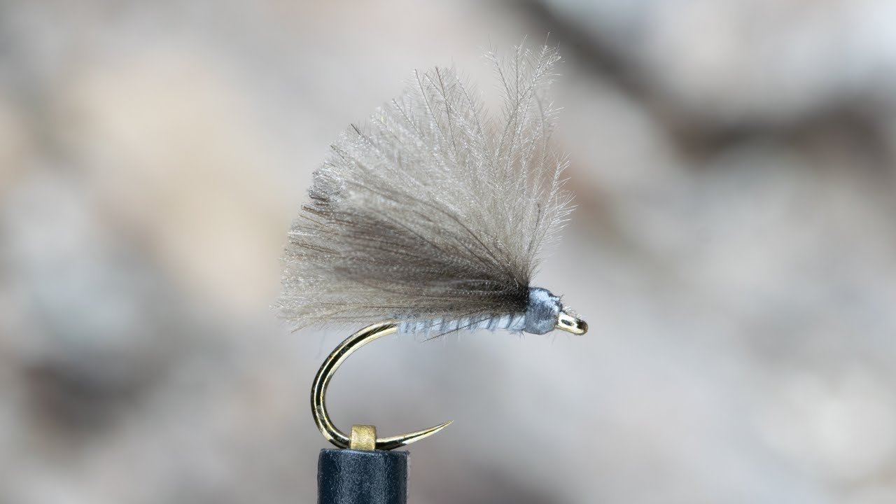 Biot F Fly