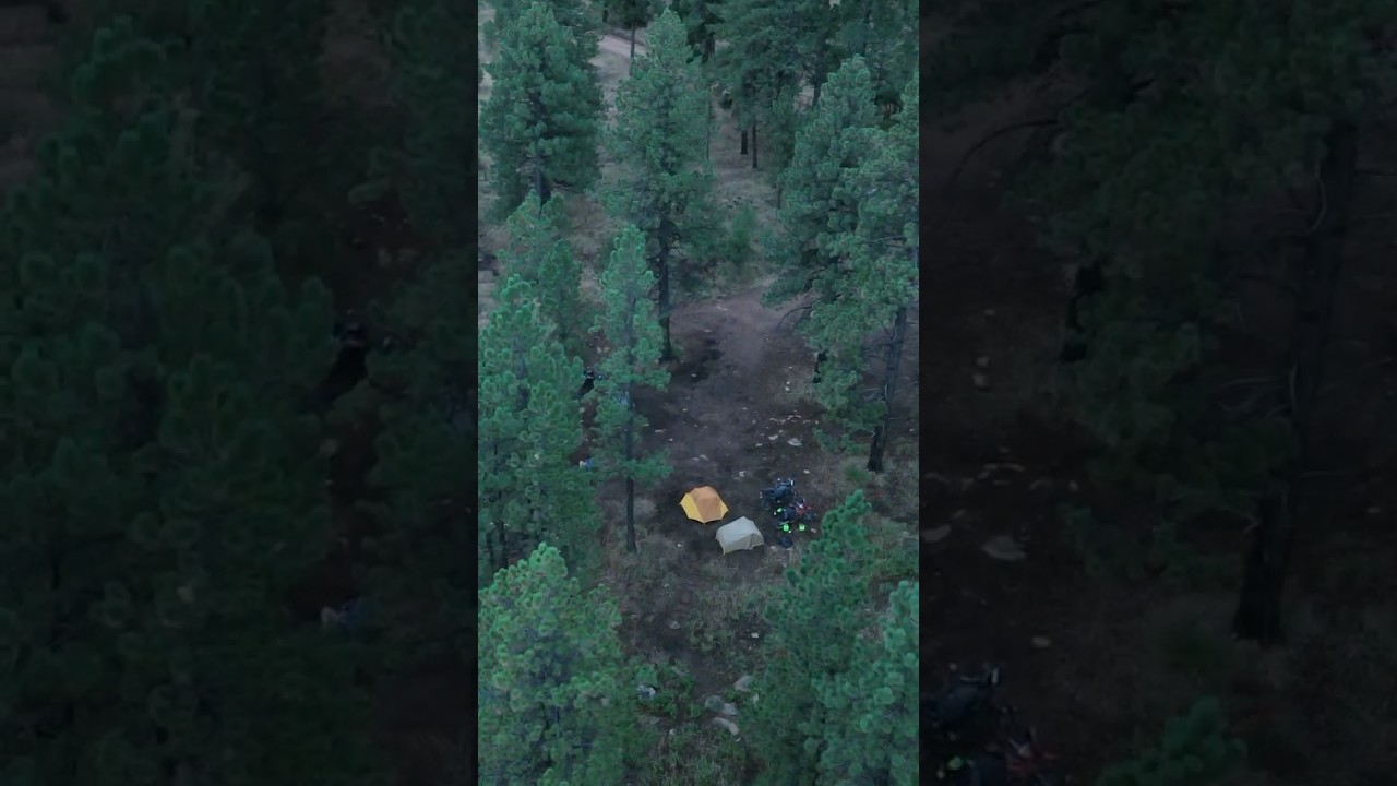 Из пустыни в лес 🏜️ 👉🏼 ⛰️