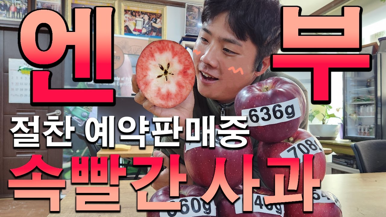 전국에서 극찬하고 있는 속빨간 사과 엔부!! 실제 농장주 분의 솔직한 후기는?! [대림묘목농원_JB가든센터]