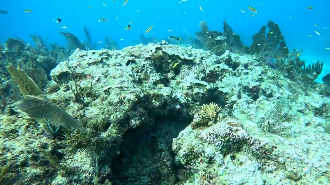 Scuba Diving in Key Largo pt 1