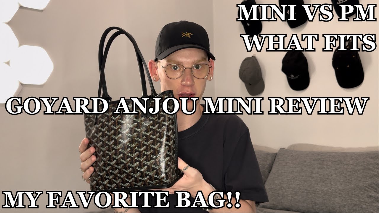Goyard Anjou Mini Review - Pricing, What Fits, Durability